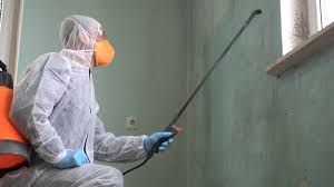 Best Mold Remediation for Healthcare Facilities  in Taylor Creek, FL